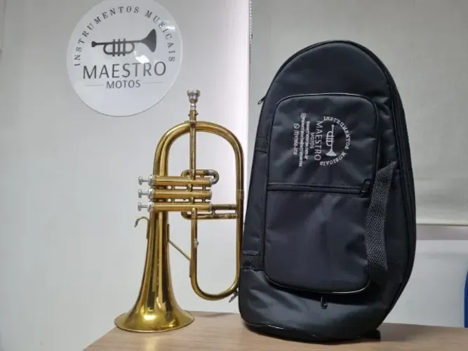 Flugelhorn Weril Cruzeiro Sib - Parcelo no Cartão - Envio p/ Todo Brasil - OLX PAY