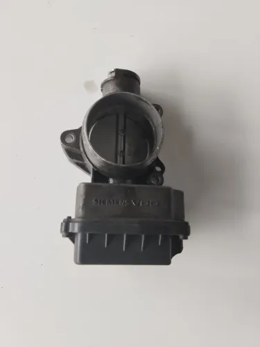 Tbi Gran Picasso ..com detalhe *002