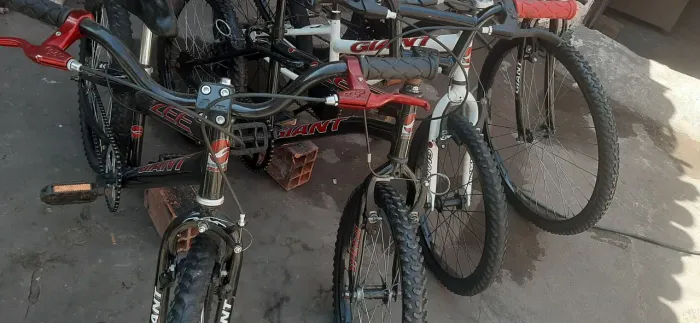 Bicicletas