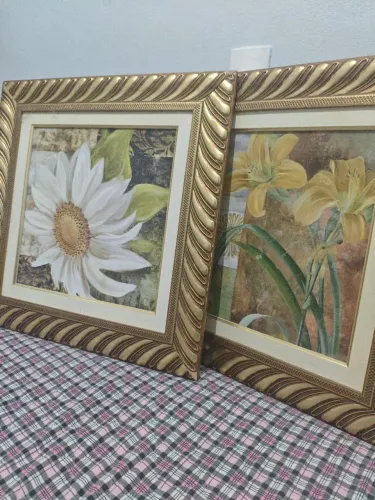 QUADROS