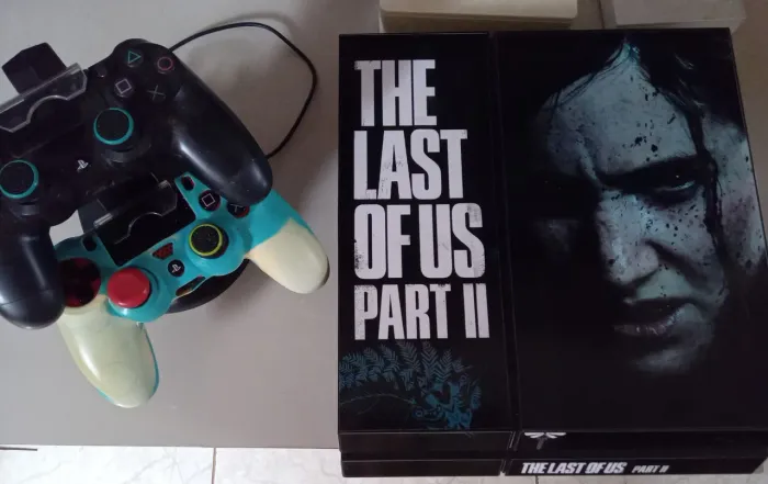 Vídeo games ( Playstation 4)