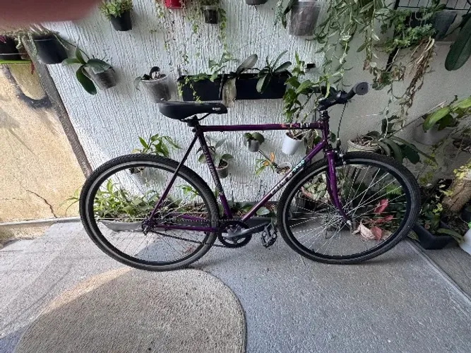 Bicicleta Caloi 10 fixa ou singular aro 29
