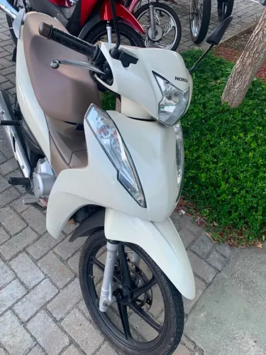 Biz branca 2019