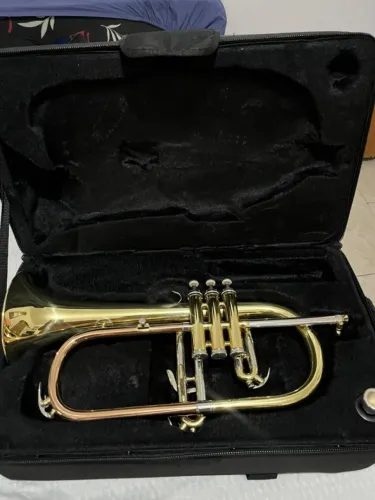 Flugelhorn - Prince