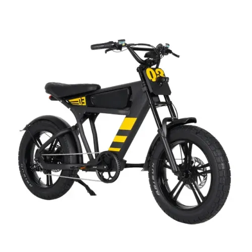 Bicicleta Elétrica Mangosteen FT-03 1000W
