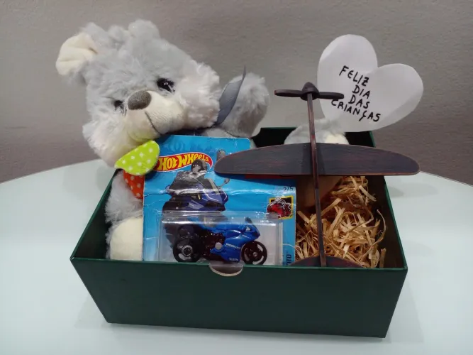 Presente bichinho de pelúcia mais moto Hot wheels e avião de madeira