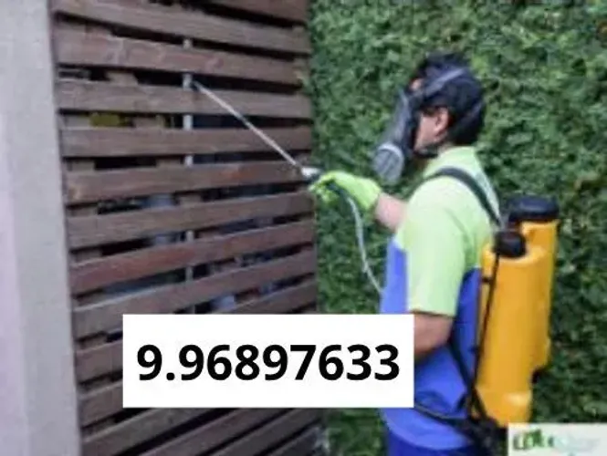 Dedetização
