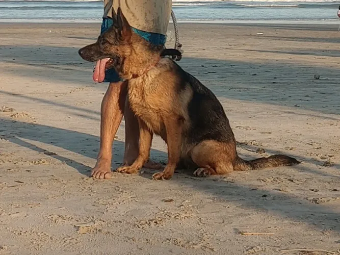 DOAÇÃO RESPONSÁVEL