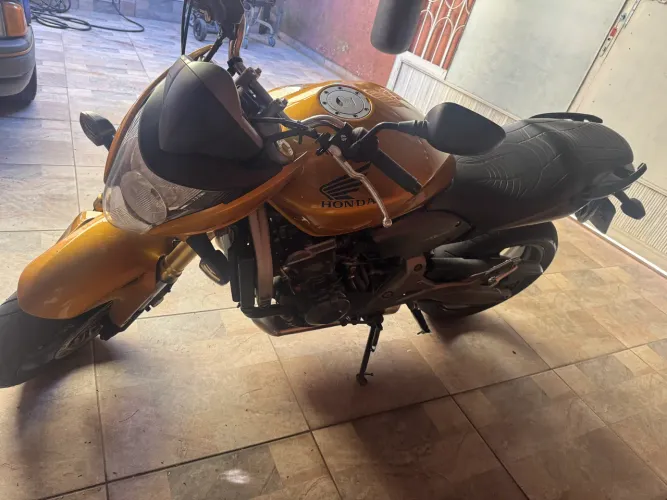 Hornet dourada 
