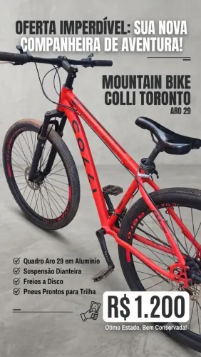 Bicicleta Aro 29