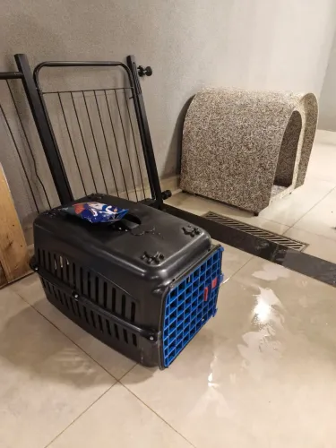 Casinha , caixa para transporte e portão para cachorro