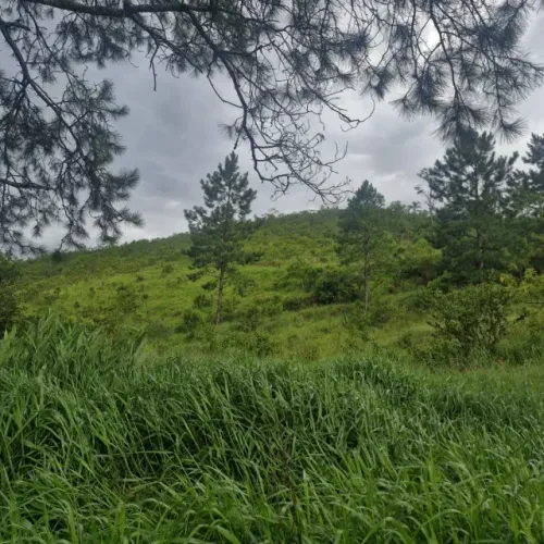 Terreno em Ribeirão Pires - 500,00 m²
