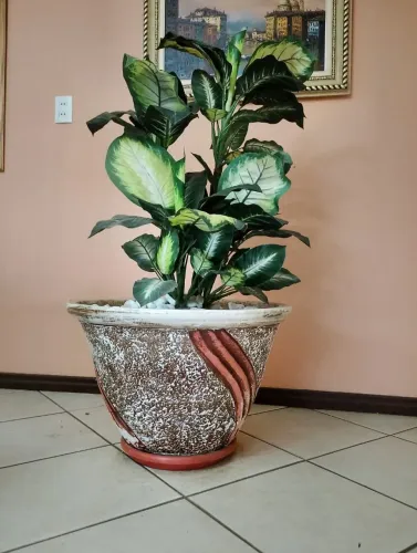 Vaso