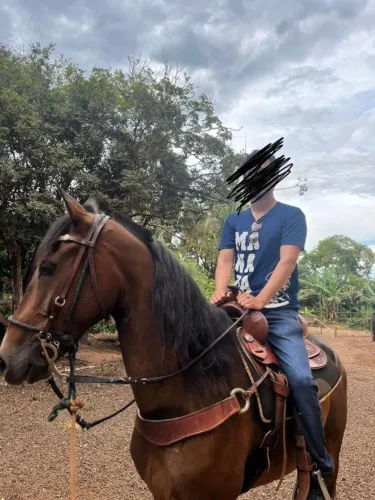 Vendo cavalo marchador manso e alto