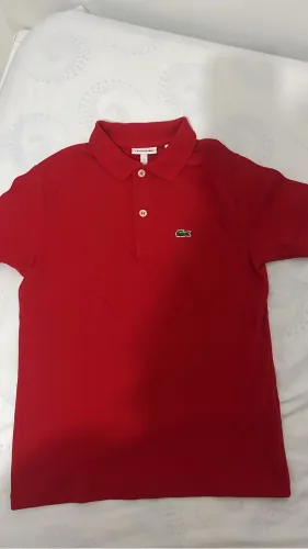 Camisa Infantil LACOSTE