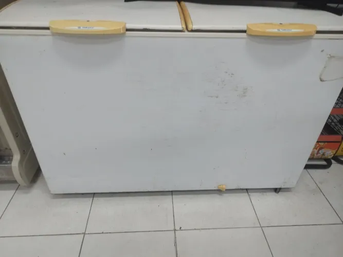 Freezer vertical