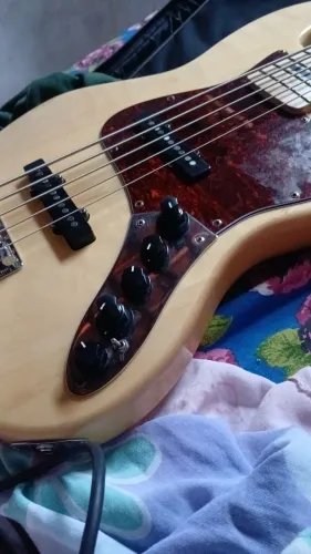 Baixo Waldman 5 cordas ativo