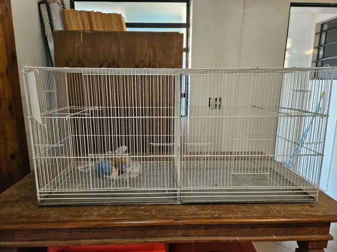 Gaiola