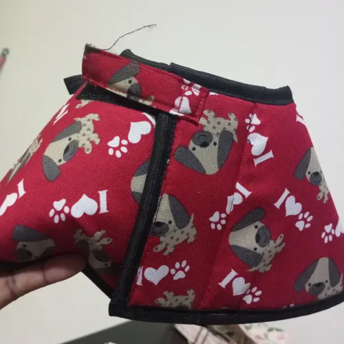 Cone colar cirurgico para pet