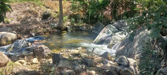 Chacara c/cachoeira Pedro Toledo SP