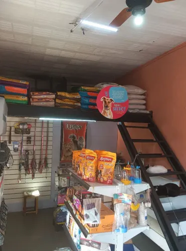 Fundo de PetShop