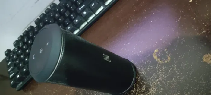 JBL Flip 2 (Não Liga)