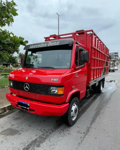 Caminhão Boiadeiro