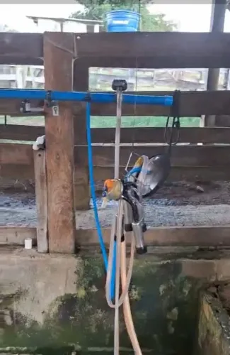 VENDO ORDENHA E RESFRIADOR 