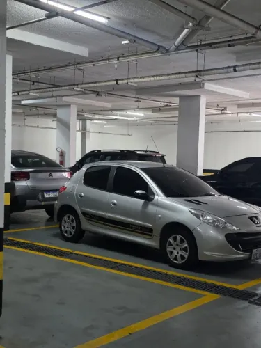 Peugeot 207 XR 1.4 Flex 8V 5P 2009