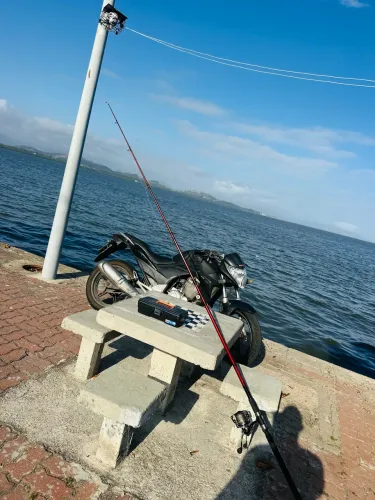 Cb300r 2011