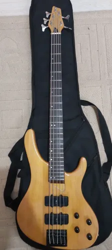 Baixo Washburn