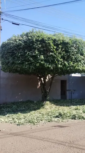 Jardinagem