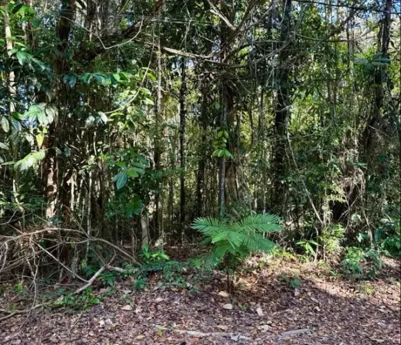 Vende-se terreno em Arraial d?Ajuda