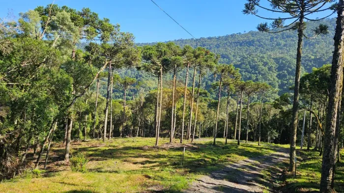Sitio à venda em Urubici-SC, Bairro Santa Teresa: Terreno em Condomínio de Chácaras com 20