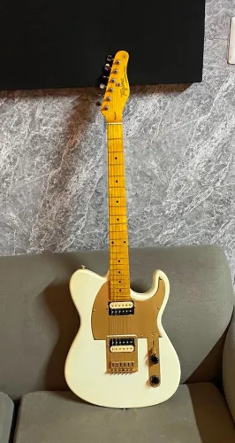 VENDO: Guitarra Tagima TW-55 Customizada