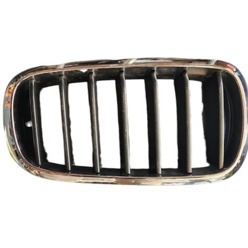 Grade Frontal Direita Bmw X5