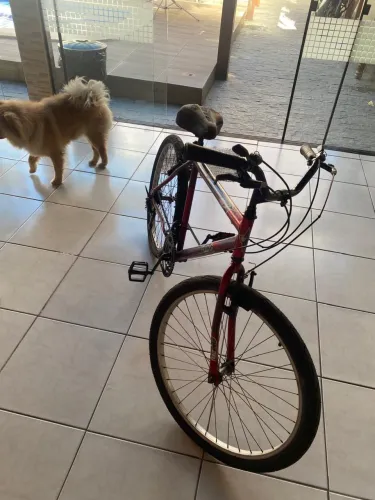Bicicleta aro 26