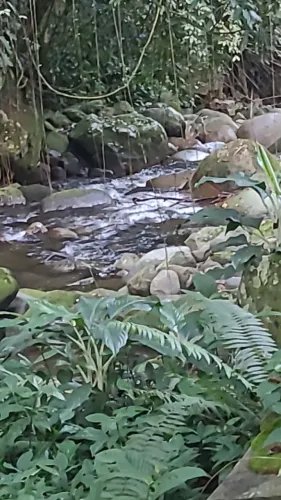 Castália, Imóvel com rio de água cristalina