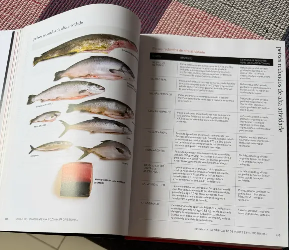 Livro gastronomia 
