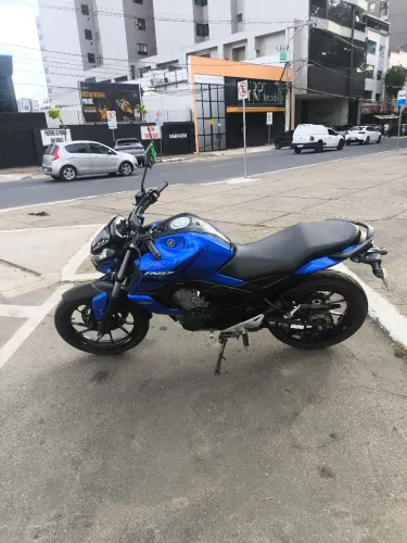 Fz15 2023