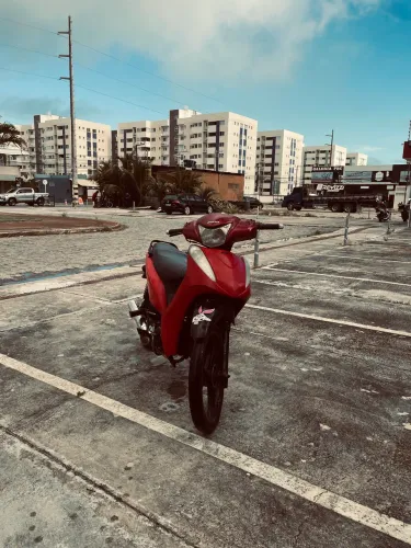 Moto bull