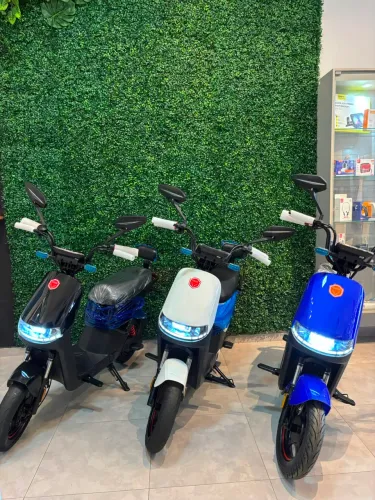 Moto elétrica 