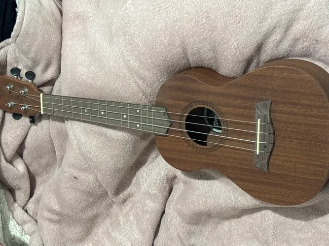 Ukulele 