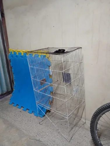 GAIOLA GRANDE PARA CALOPSITA