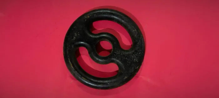 Anilha de Ferro 2kg com Pegada - Treine em Casa com Estilo!