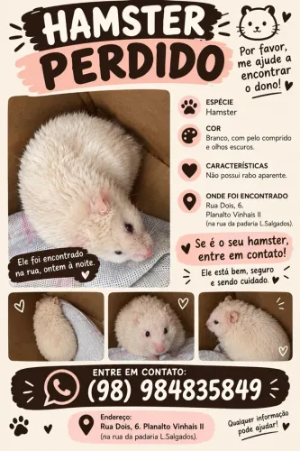 Hamster perdido 