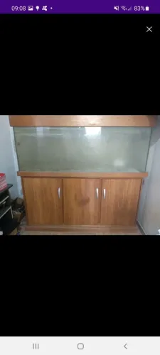 Vendo Aquario