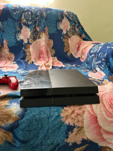 PS4 fat