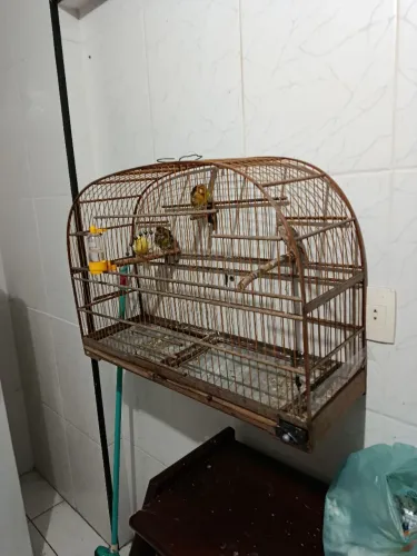 Gaiola voadeira