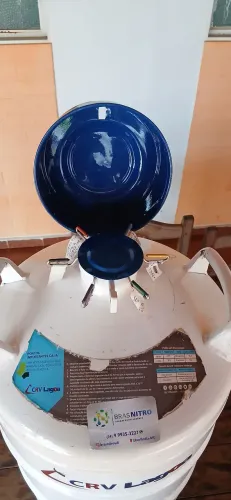 Vendo botijão de sêmen.